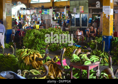 Bananas on sale in the Amazon producers market, Iquitos, Peru Stock Photo