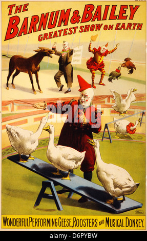 Geese, roosters and musical donkey, poster for Barnum & Bailey, ca. 1900