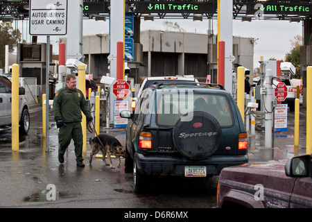 A US Customs and Border Protection officer inspects vehicles using a sniffer dog at the immigration check point for vehicles entering the USA at the San Luis border crossing February 16, 2012 in San Luis, AZ. Stock Photo