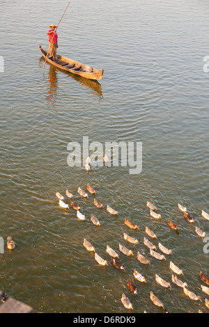 Waterfowl on the boating lake in Kensington Gardens, London Stock Photo ...