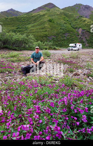 Photographer and Tall Fireweed (Evening Primrose) grow along a stream near Cathedral Mountain, Denali National Park, Alaska, USA Stock Photo