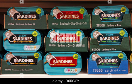 Tinned sardines at Tesco, UK Stock Photo