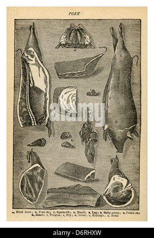 1890's Mrs Beetons Cookery Book illustration of variety of Victorian Pork meat cuts and joints Stock Photo