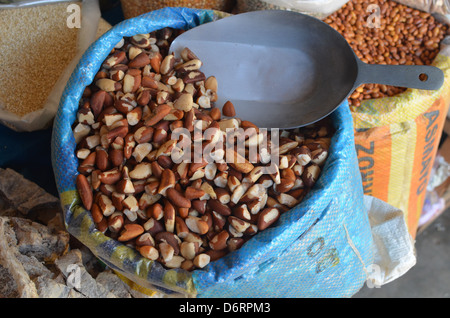 Brazil nuts for sale in a market in the Amazon Stock Photo