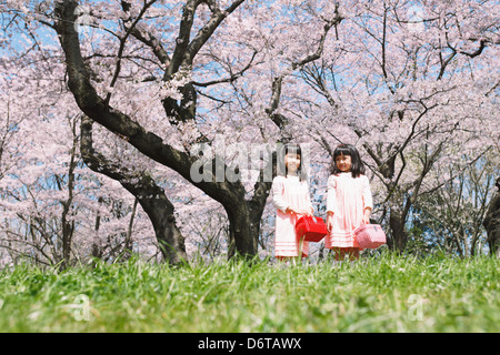 Female twins and cherry trees in full bloom