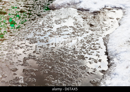 puddle from melting snow in spring Stock Photo