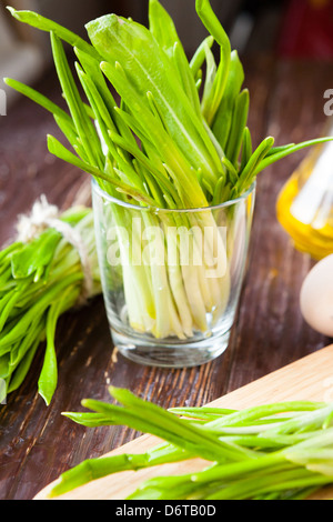 fresh greens, wild garlic dressing, Ramson, closeup Stock Photo