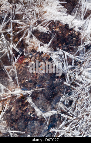 ice crystals under frozen brook in spring forest Stock Photo