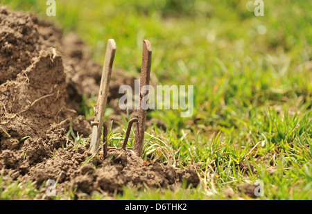 mole trap Stock Photo