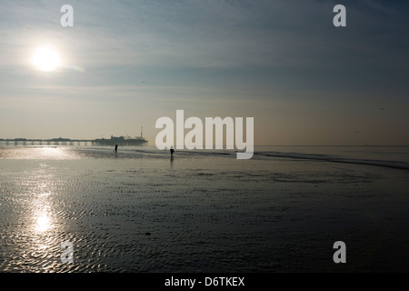 Brighton beach low tide, early morning, pale sun Stock Photo