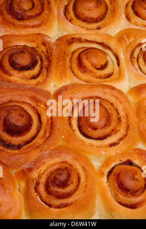 Fresh baked cinnamon buns Stock Photo
