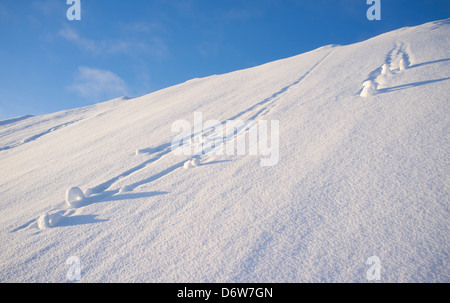 Snowballs rolling down from steep hill at Winter , Finland Stock Photo