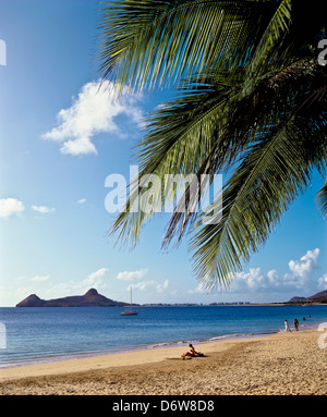 8475. Rodney Bay & Pigeon Island, St Lucia, Caribbean, West Indies Stock Photo