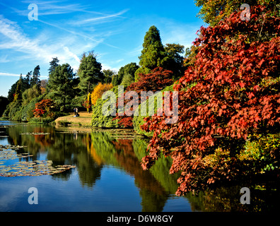 8480. Sheffield Park in Autumn, Sussex, England, Europe Stock Photo