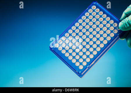 Well plate sample medical tray in hand Stock Photo