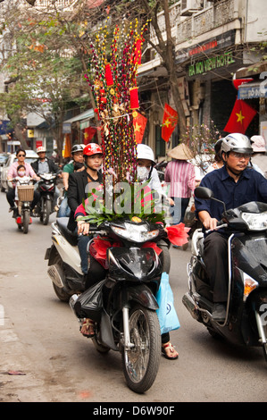 Vertical portrait of a lady on a moped in Hanoi with a large decoration for Vietnamese New Year, Tet, obstructing her view. Stock Photo