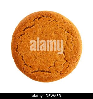 A Mcvitie's ginger Nut biscuit on a white background Stock Photo