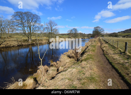 River Wharfe near Barden Bridge on The Dales Way Long Distance Footpath Wharfedale Yorkshire Stock Photo