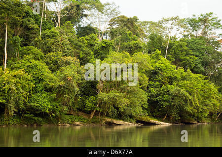 Rio Napo in the upper Amazon near Misahualli, Ecuador with limestone strata, part of the Hollin Formation. Stock Photo