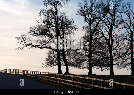 Towcester racecourse at sunset Stock Photo