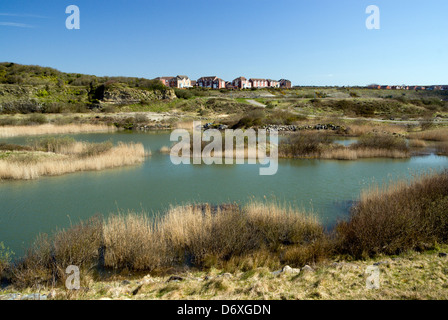 new housing estate in disused quarry rhoose vale of glamorgan south wales Stock Photo