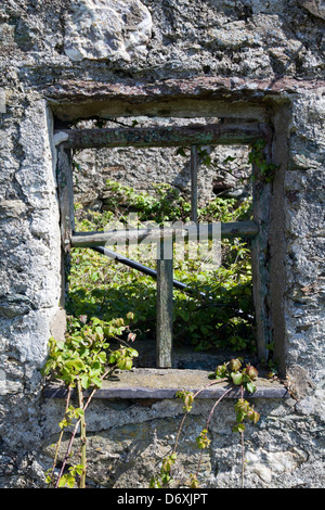 Rotting window frame in old ruined farm house Stock Photo