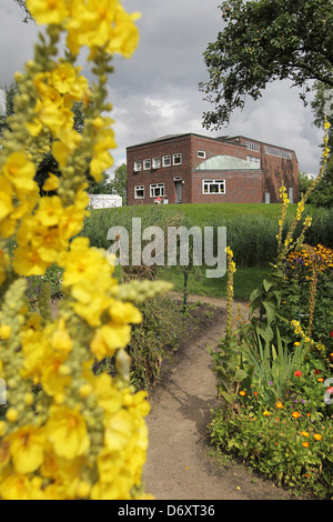 Neukirchen, Germany, hollyhocks in Noldegarten of Ada and Emil Nolde Foundation Stock Photo