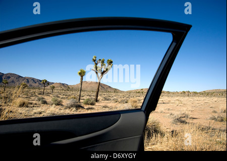 High Desert landscape at Joshua Tree National Park in California viewed from window of open car door Stock Photo