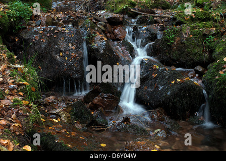 Tabarz, Germany - An autumn creek in the Thuringian Forest Stock Photo