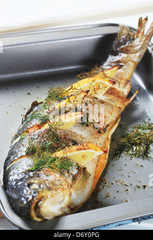 Oven baked trout stuffed with lemon and dill Stock Photo