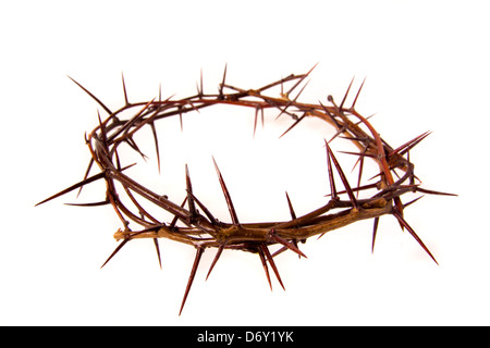 Crown of thorns isolated on white background, copy spase. Christian concept of suffering. Stock Photo