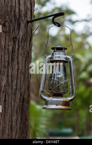 Old style lantern hanging from tree. Stock Photo