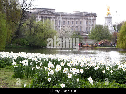 London, UK. 25th April, 2013.  Spring Sunshine in St James's Park in London. The sunny weather could see today becoming the hottest day of the year.  Photo by Keith Mayhew/Alamy Live News Stock Photo