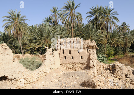 Part of the ruined oasis town of  Mides  Tunisia Stock Photo