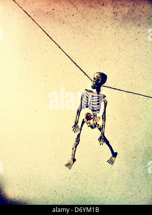 Skeleton hanging from wire Stock Photo
