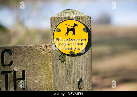 ´Please keep your dog on a lead Thank You´ sign on public footpath, UK Stock Photo
