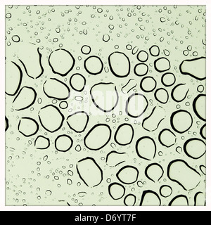 Close up of water droplets on glass