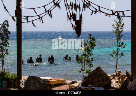 Diving in and around the Egyptian village of Dahab (Sinai) Stock Photo