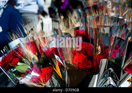 Red  roses at  Sant Jordi festival, ( St. George's Day )  in Passeig de Gracia street. Barcelona. Catalonia. Spain. Stock Photo