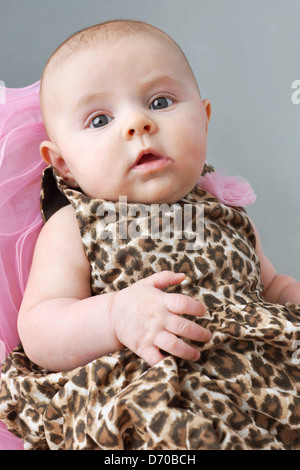 Cute newborn baby girl in leopard print dress, young fashionista Stock Photo