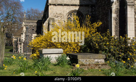 Graveyard at St Dunstan's church, Stepney, east London Stock Photo