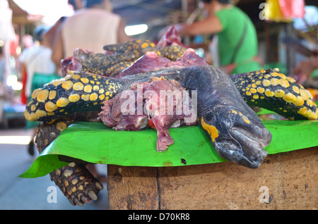 Turtle meat on sale in Belen market. Iquitos, Peru