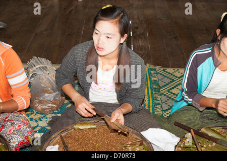 Young woman making cheroots in a cheroot making factory, Nampan, Inle Lake, Shan State, Myanmar, (Burma) Stock Photo