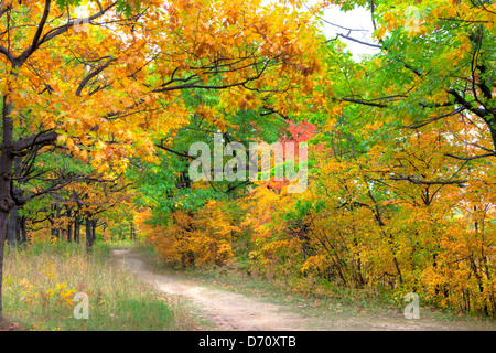Autumn Niagara Escarpment Ontario Canada Stock Photo
