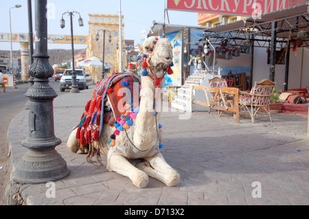 Arabian camel (Camelus dromedarius) lying on the road, Old Market, Sharm el-Sheikh, Sinai Peninsula, Egypt  Stock Photo