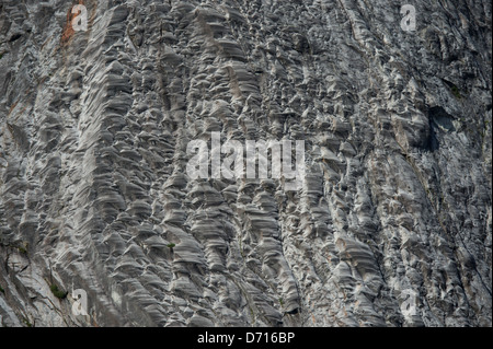 Chattering Rocks Fjord wall near Dawes Glacier chatter marks series marks made by ...