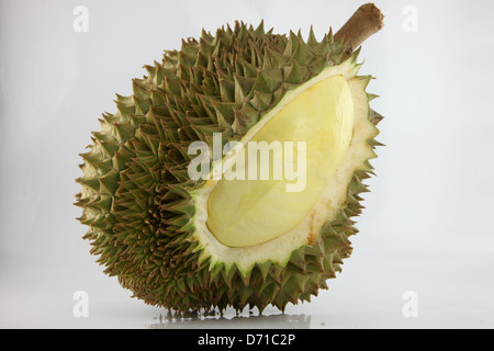 The spiky fruit called the Durian and the king of fruit. Stock Photo