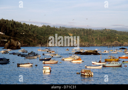 pleasure boats and fishing boats share safe harbor in Trinidad Bay in Humboldt California near Eureka Stock Photo