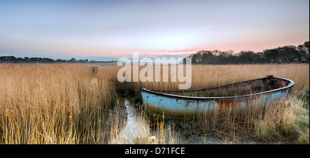 Rusty old abandoned shipwrecked boat in reeds in the backwaters of Poole Harbour in Dorset. Stock Photo