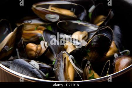 Moules Marinieres, mussels with garlic and herbs in a cream and white wine sauce Stock Photo